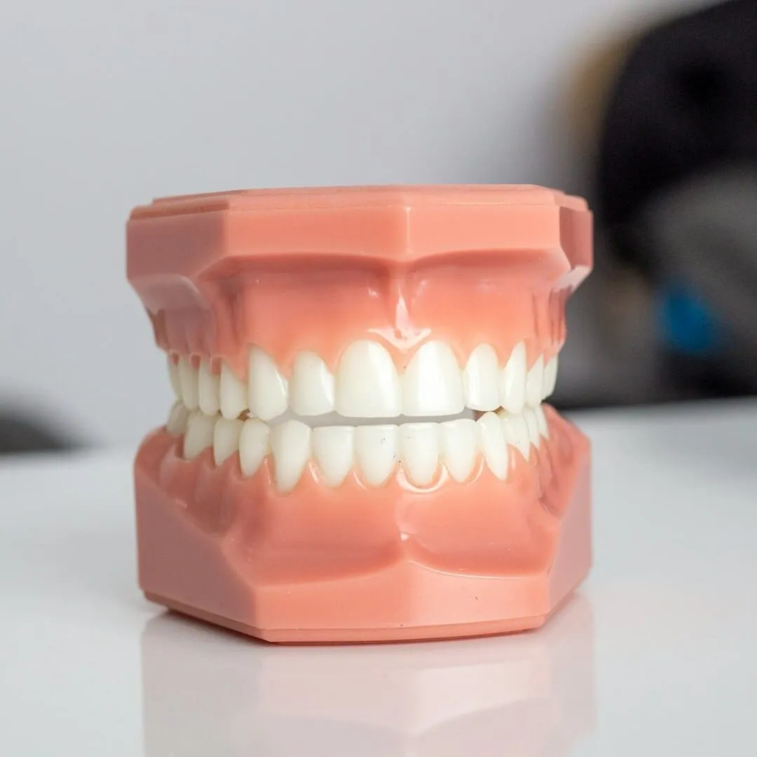 Seguro odontológico